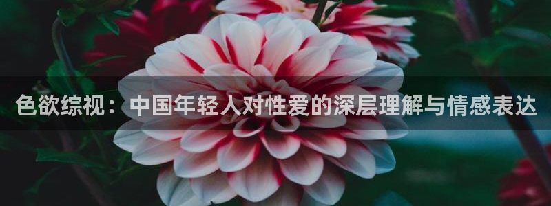 一对一神马影院
